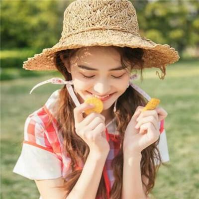 萌萌物语破解版下载